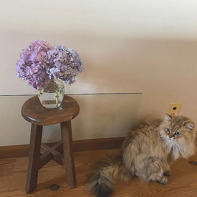 teddyさんの実例写真