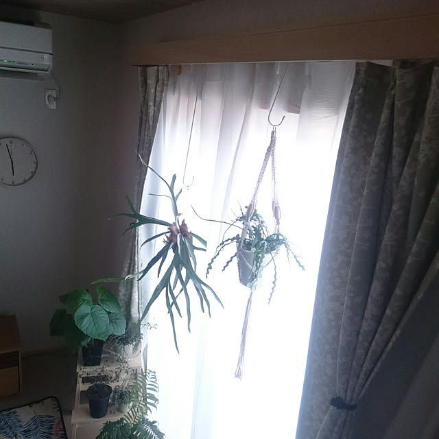 chocococoaさんの実例写真