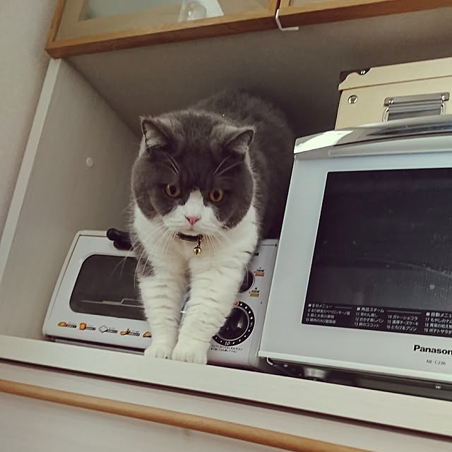 nyan5さんの実例写真