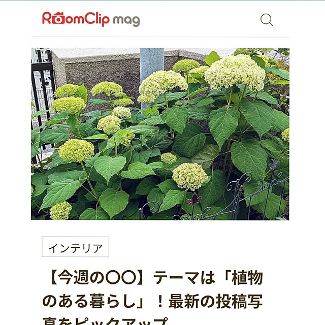 Renさんの実例写真