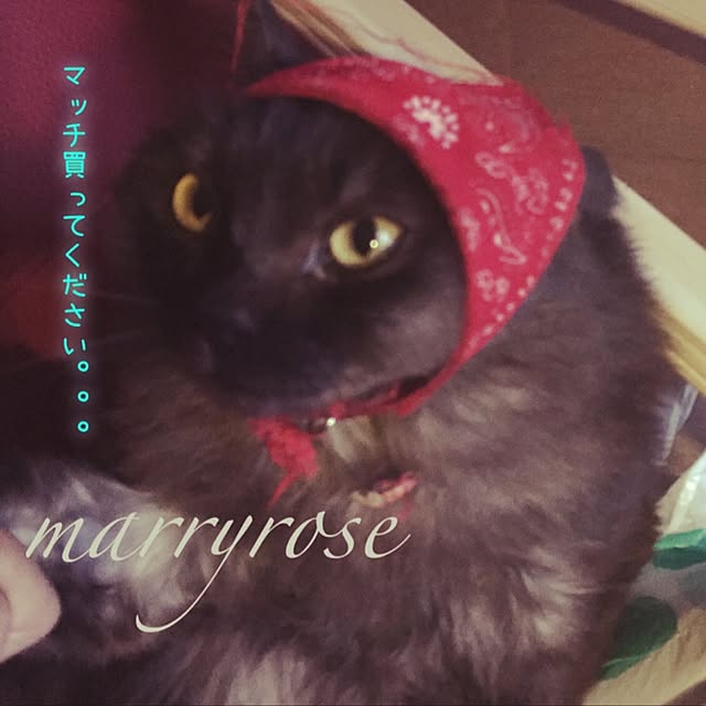 maria.rさんの実例写真