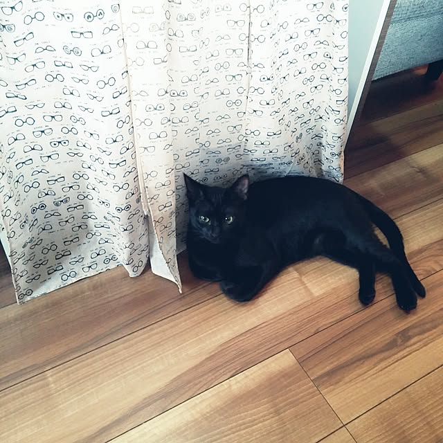--Yu--Chi--さんの実例写真