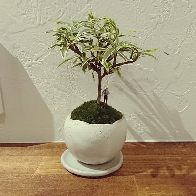 Tomohiroさんの実例写真
