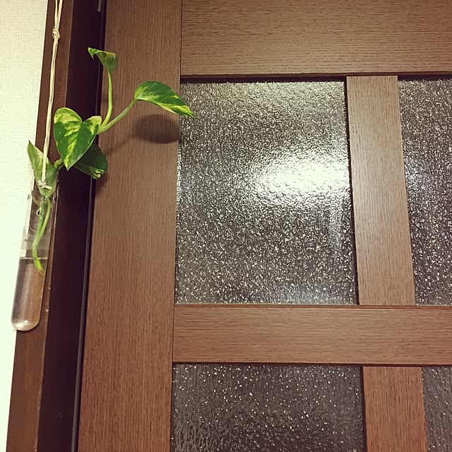 Masayoさんの実例写真