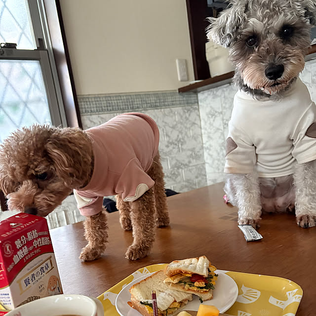 alchoさんの部屋