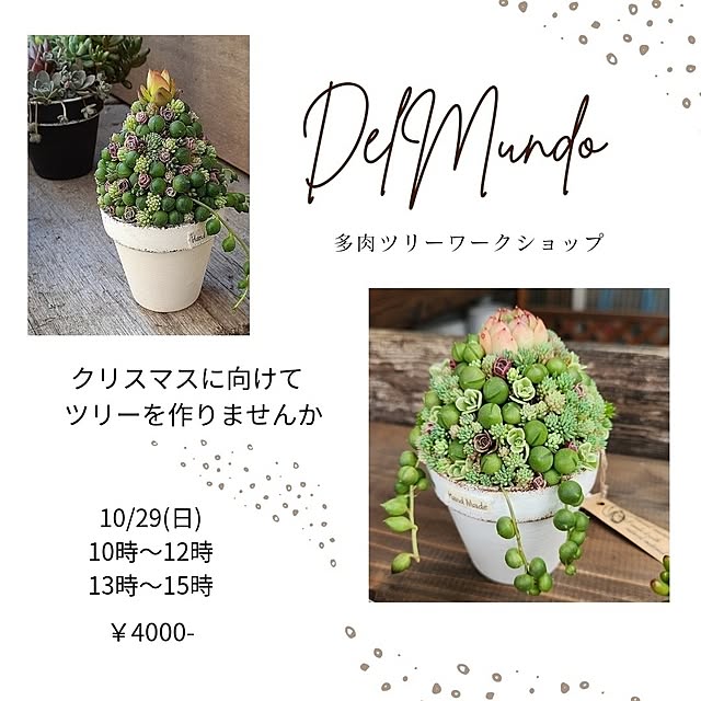 amtさんの実例写真