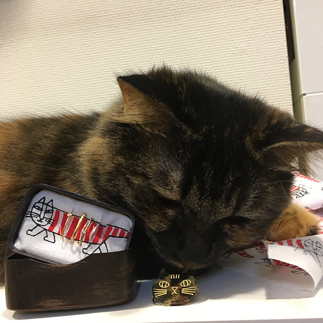 mikomaruさんの実例写真