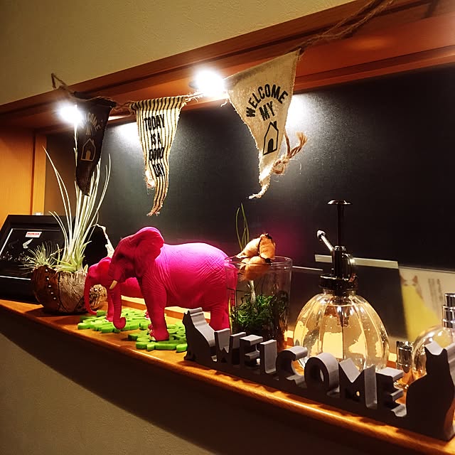 annanihilisticさんの実例写真