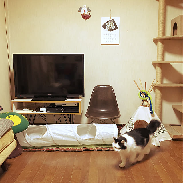 matatabi88さんの実例写真