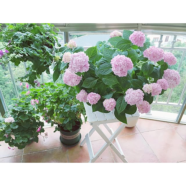 実例写真