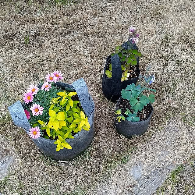 t.yumiさんの部屋
