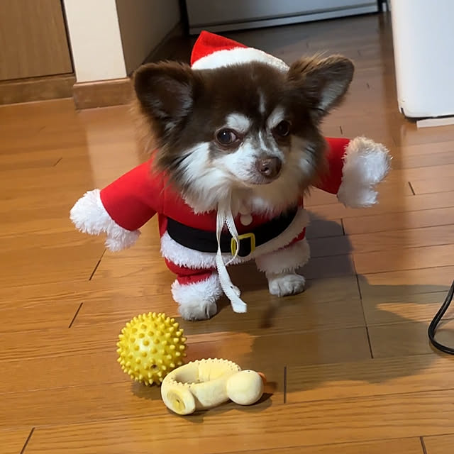 chIoeさんの部屋