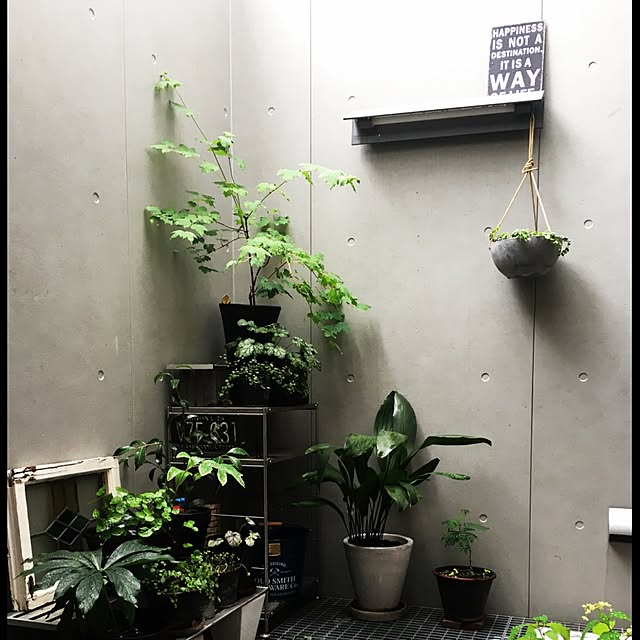 mikimoko38さんの実例写真