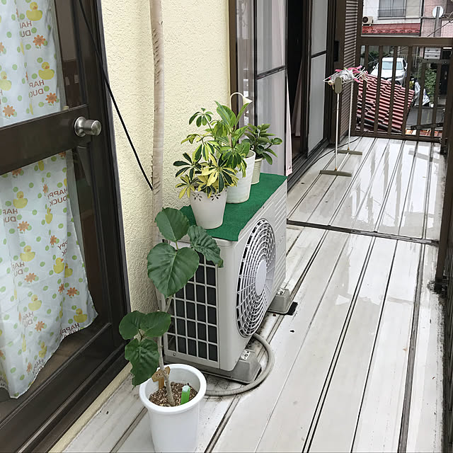 miporinさんの実例写真