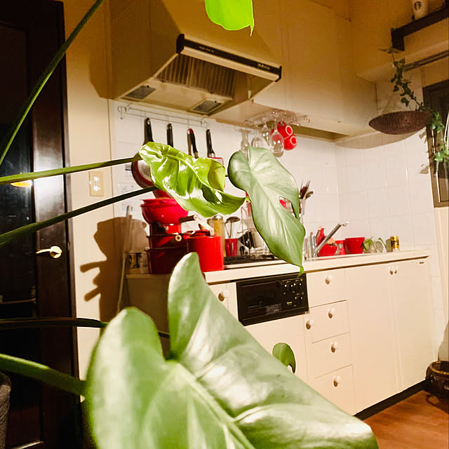takimichi.1115さんの実例写真