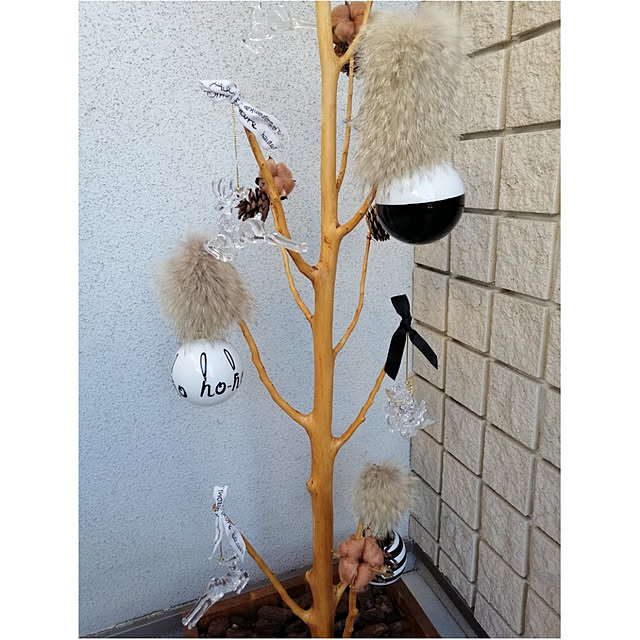 daisyさんの実例写真