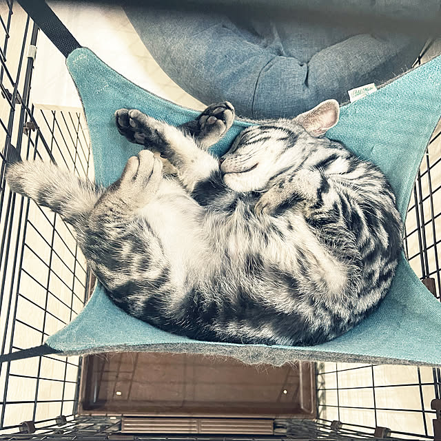 tksmさんの実例写真