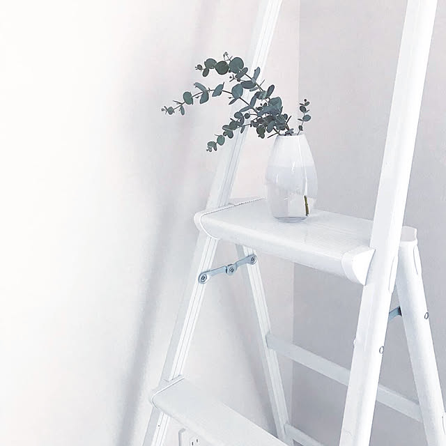 gypsophila_elegansさんの実例写真