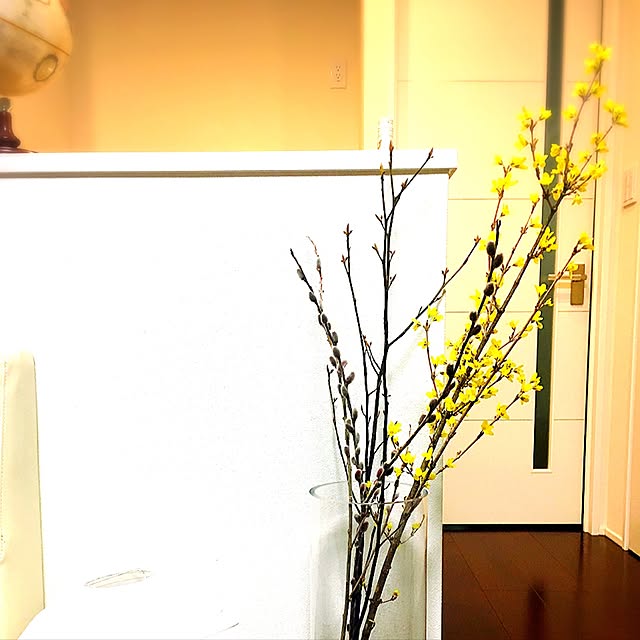 Chiakiさんの実例写真