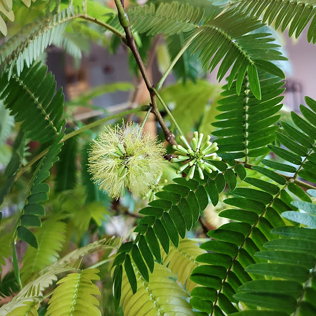 DJ-SIGURさんの実例写真