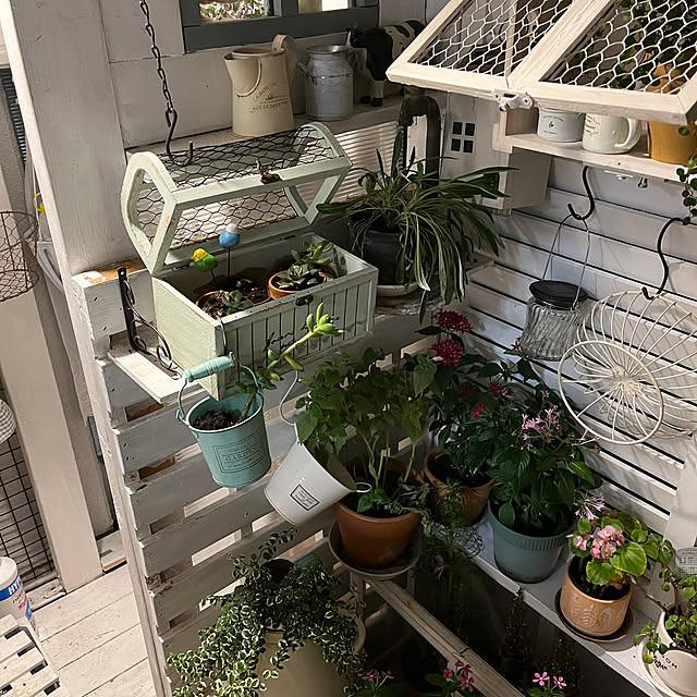Atsukoさんの部屋