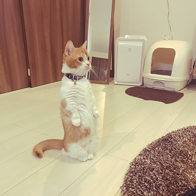 KotarouKunさんの実例写真