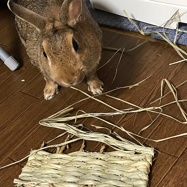 haruさんの実例写真