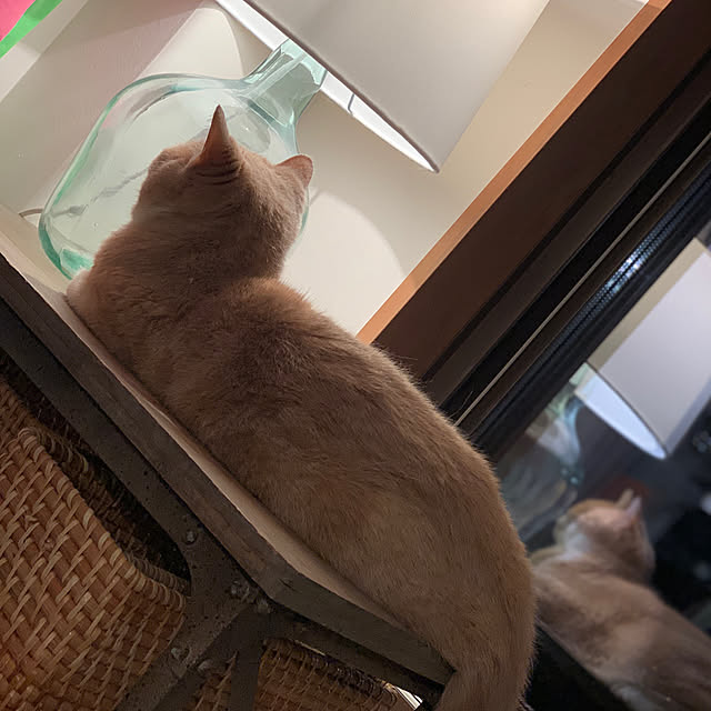 maruさんの実例写真