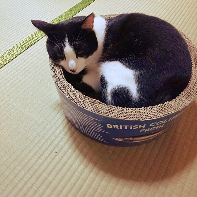 oseroさんの実例写真