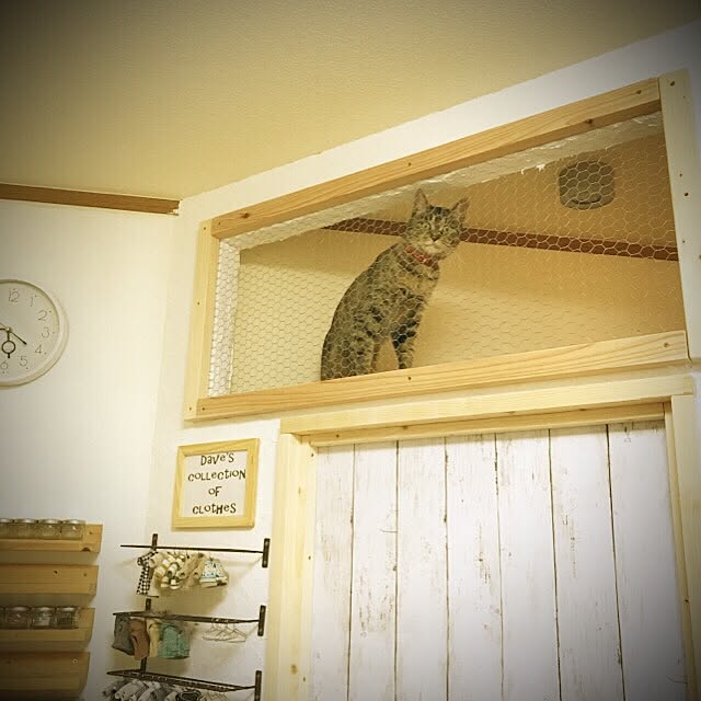 acHiさんの実例写真