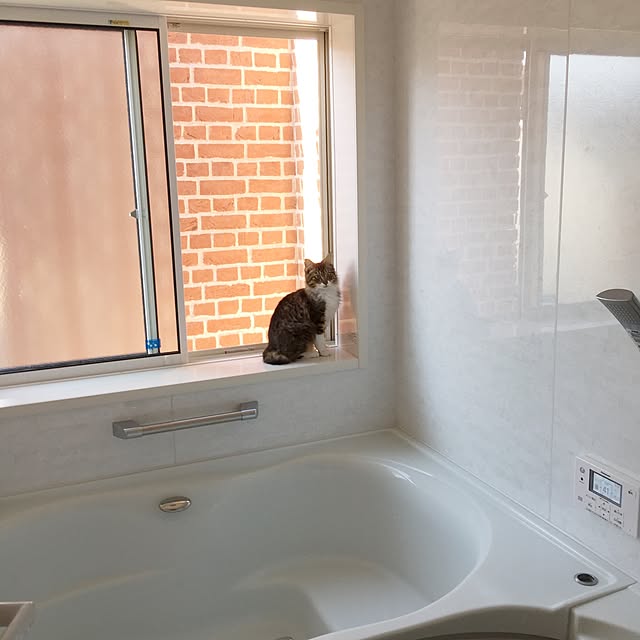 yuchiさんの実例写真