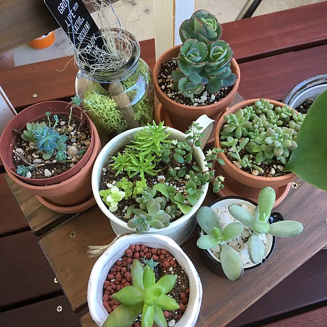 mieeeさんの実例写真