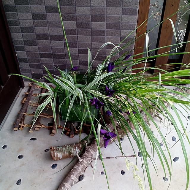 shusen.miyaさんの実例写真