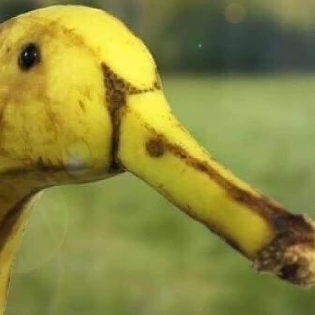 Tackunさんの実例写真