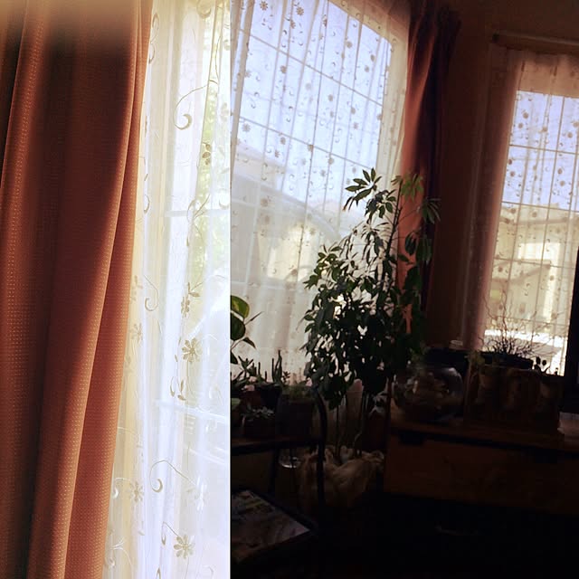 namoさんの実例写真