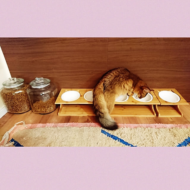 poniさんの実例写真