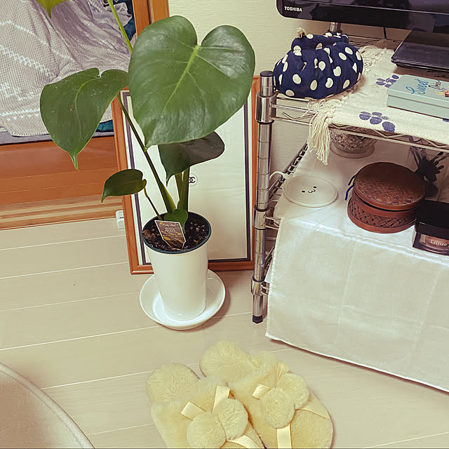 Kiyomiさんの実例写真