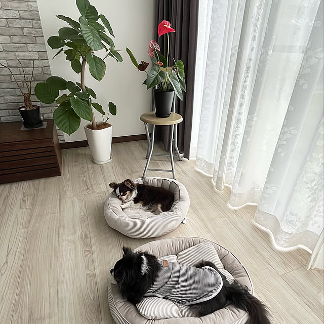 Hannahさんの実例写真