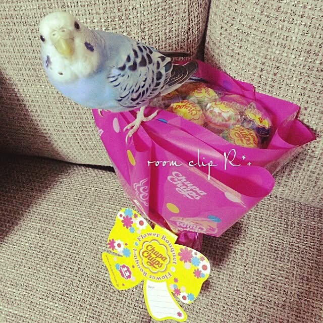 Rさんの実例写真