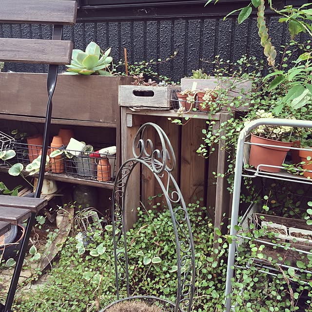 misaさんの実例写真