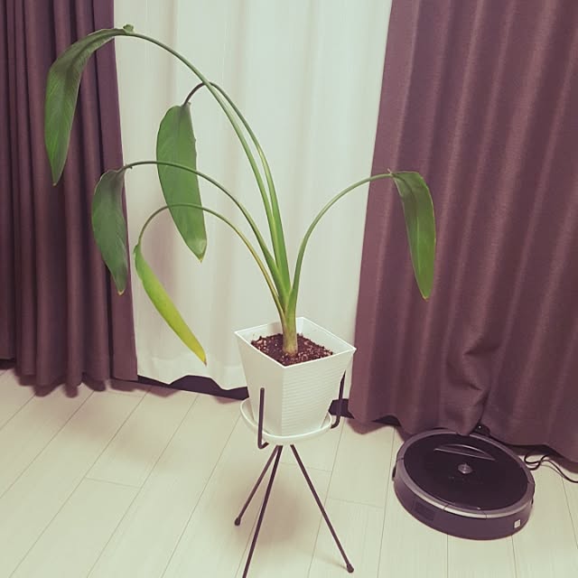 miporiさんの実例写真