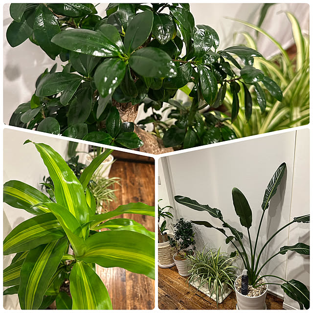 hanahana1444さんの部屋