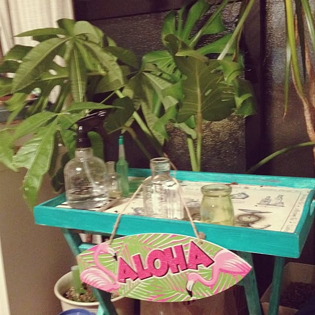 Malamaさんの実例写真