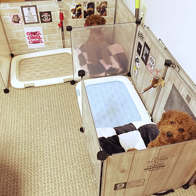 Taenyeonさんの実例写真