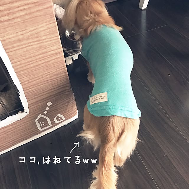 -Riley-mama.-さんの実例写真