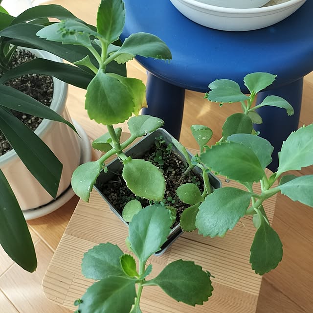 motoさんの部屋
