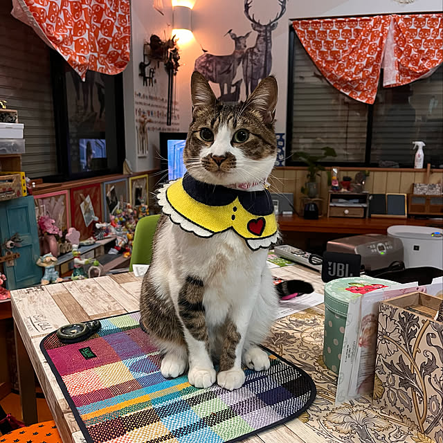 jijiさんの実例写真