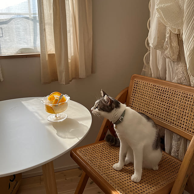comiriさんの実例写真