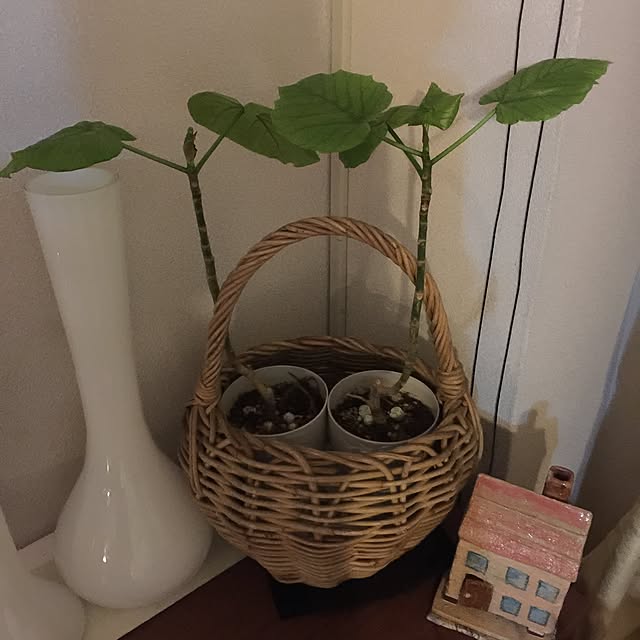 Shizuaさんの実例写真