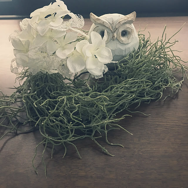 棚のインテリア実例 - 2018-06-08 07:56:46